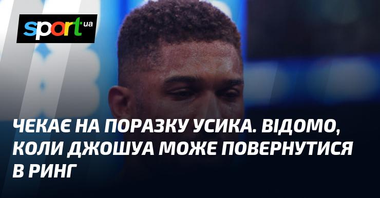 Очікує на поразку Усика. Відомо, коли Джошуа планує знову вийти на ринг.